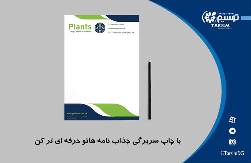 سربرگ جذاب