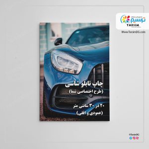شاسی 20 30