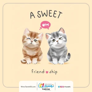 لیبل حرارتی لباس گربه