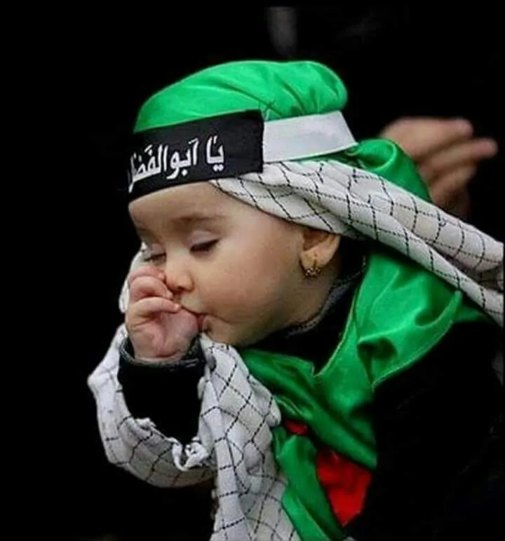 شیر خوارگان ۱۴۰۴