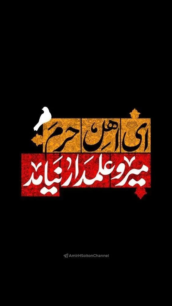 عکس شهدا برای پروفایل 