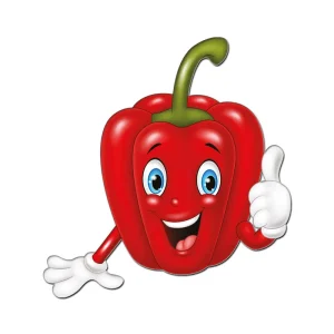 میوه های مگنتی فلفل دلمه