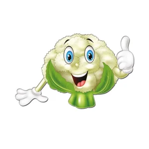 میوه های مگنتی کلم