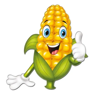 میوه های مگنتی ذرت