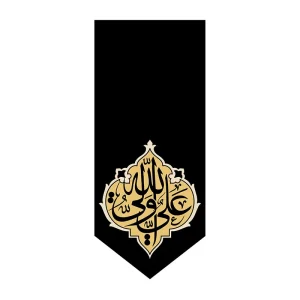 بیرق شهادت حضرت علی (ع)
