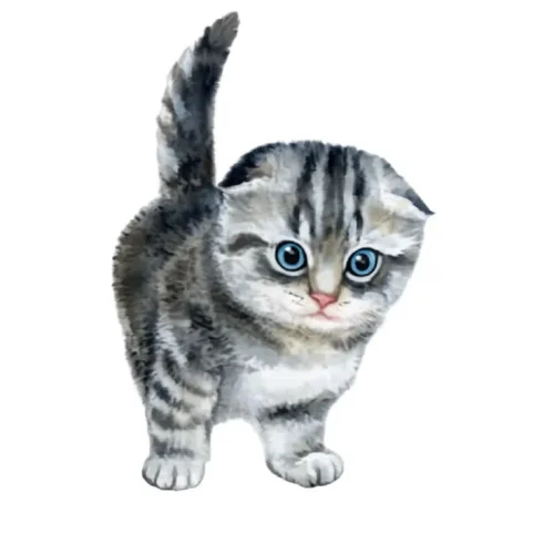 برچسب حرارتی طرح گربه