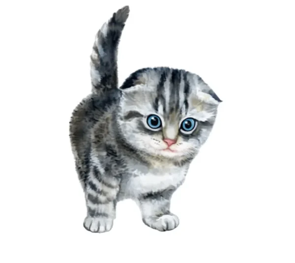برچسب حرارتی طرح گربه