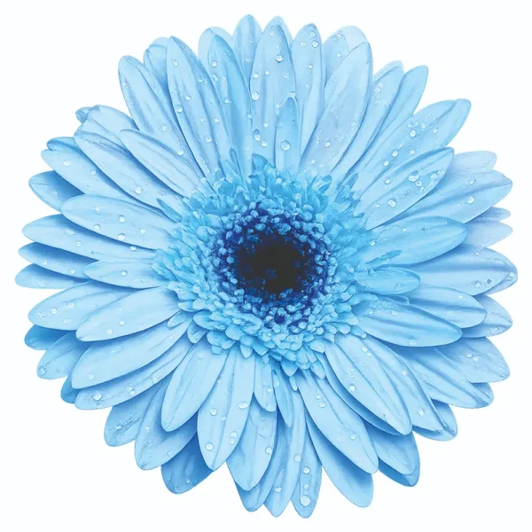 برچسب حرارتی طرح گل و گیاه