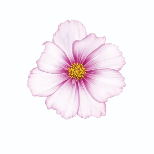 برچسب حرارتی طرح گل و گیاه