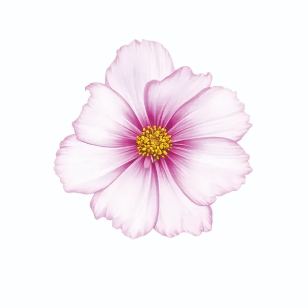 برچسب حرارتی طرح گل و گیاه