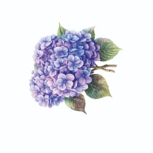 برچسب حرارتی طرح گل و گیاه