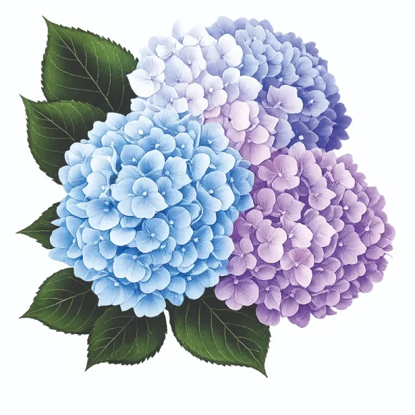 برچسب حرارتی طرح گل و گیاه