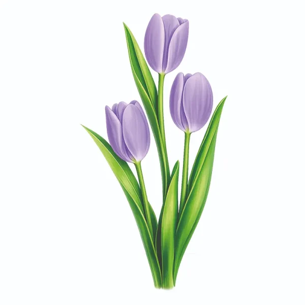 برچسب حرارتی طرح گل و گیاه