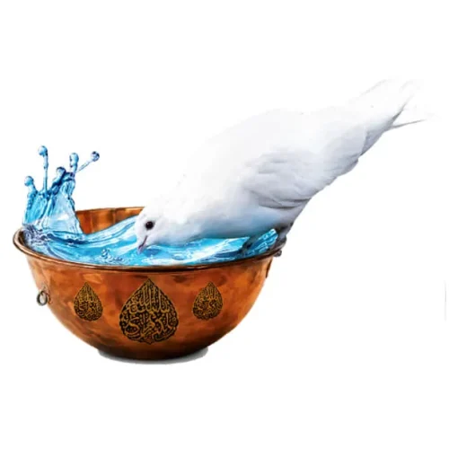 برچسب حرارتی طرح محرمی