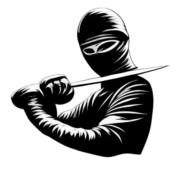 برچسب حرارتی طرح نینجا