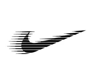 برچسب حرارتی طرح نایک