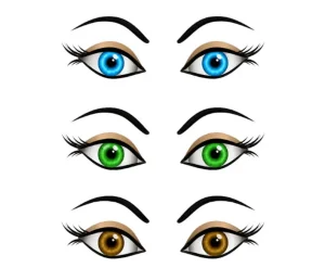 برچسب حرارتی طرح چشم و چهره عروسکی